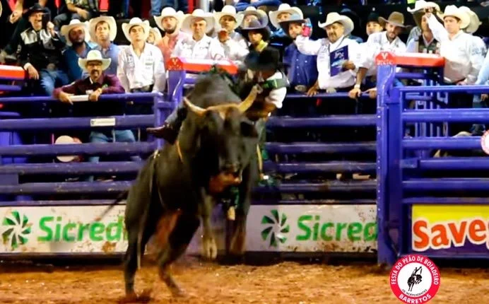 Rodeio Internacional de Barretos 2018, Festa do Peão