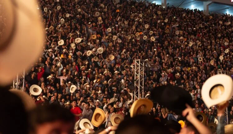 20 fivelas para curtir o Barretão 2021