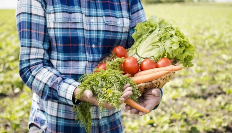 Agricultura de subsistência x agricultura familiar. Entenda a diferença