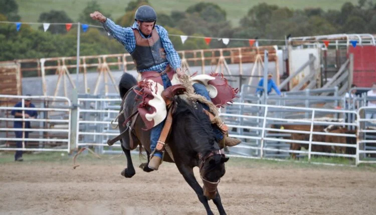 Montaria em cavalo: conheça as modalidades