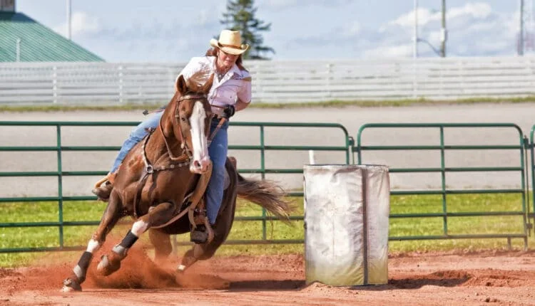 PROVA TRÊS TAMBORES: SAIBA MAIS SOBRE A MODALIDADE EQUESTRE