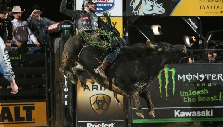 Bull Riding – O Guia Completo