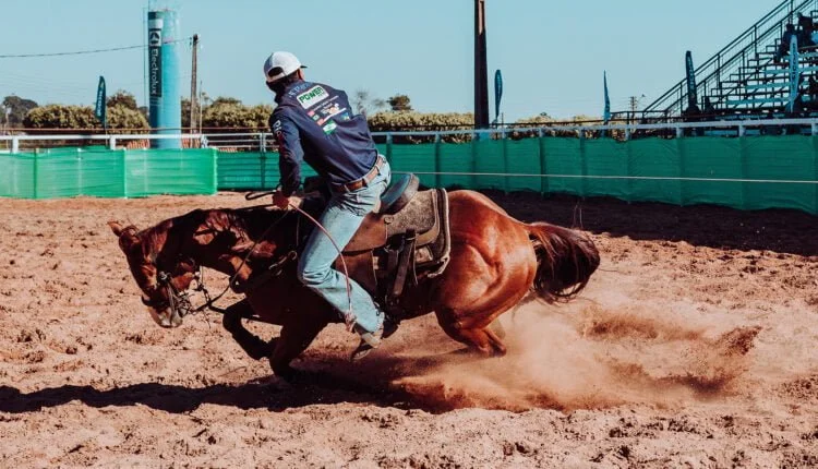 O que é Bulldogging: conheça a prova de rodeio que derruba boi