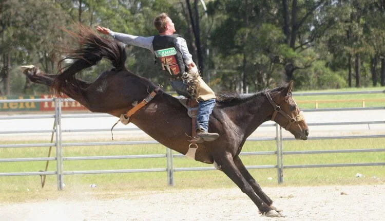 Modalidade Bareback: confira todas as curiosidades
