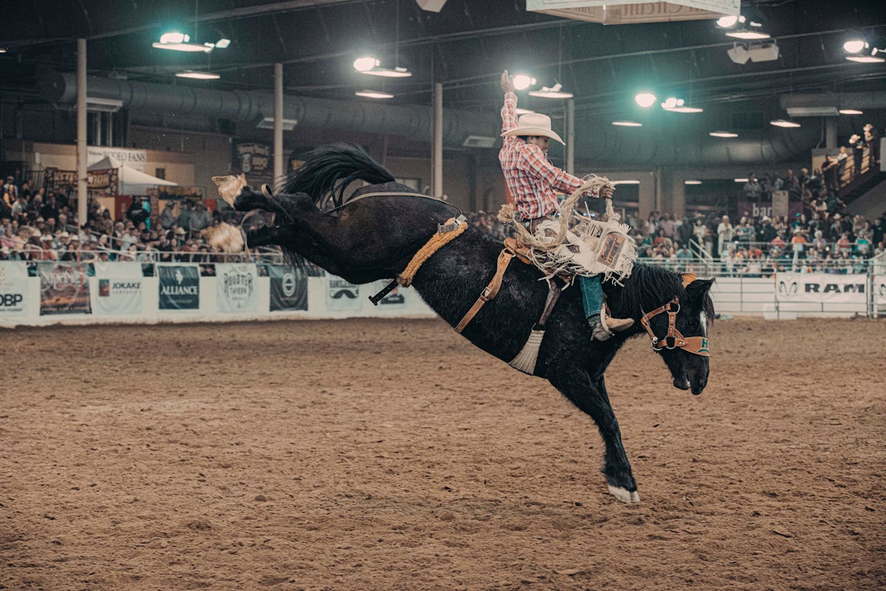 Além dos 8 Segundos: Guia Completo de Cuidados para Cavalos de Rodeio