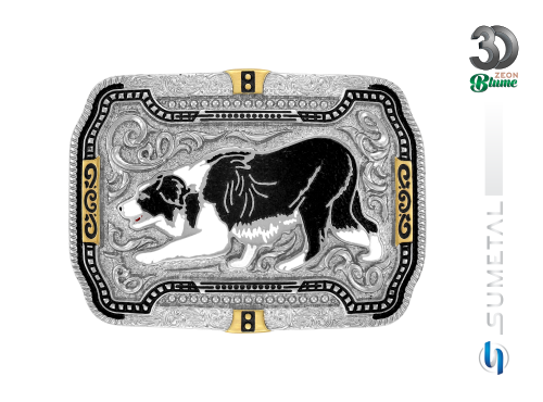 14370F ND Fivela Country Border Collie