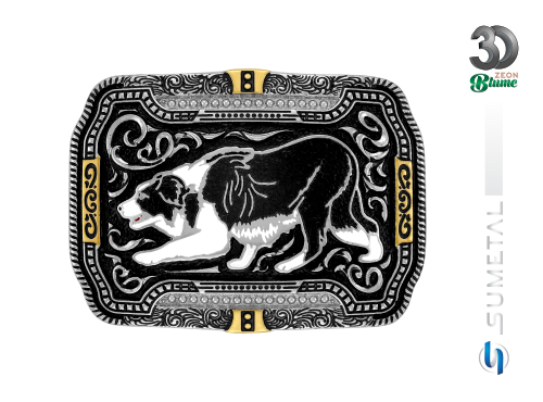 14370FJ ND Fivela Country Border Collie