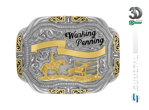 14367F ND Fivela Country Working Penning