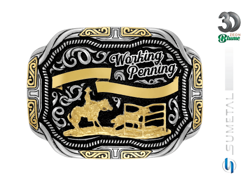 14367FJ ND Fivela Country Working Penning